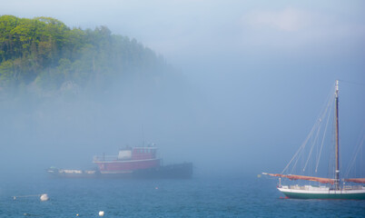 Misty Fog in the Harbor
