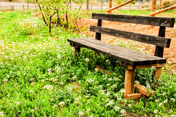 Naklejka premium Wooden bench surrounded by vegetation and flowers in a park