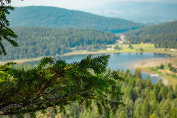 Fototapeta na wymiar Lookout at Lion Mountain hiking trail in Whitefish, Montana. Lake in background, Pine tree in foreground