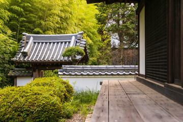 Quiet buddhist temple in lush green forest