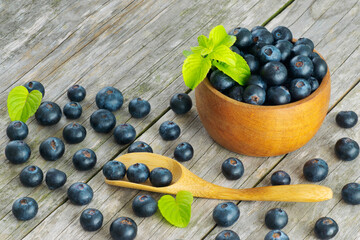 Blueberries on a bowl and spread all over a wooden table with a spoon and mint leaves