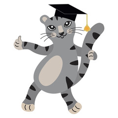 Cute gray cartoon kitten in graduation hat shows thumbs up. The smart cat is ready to learn. Back to school. Educational mascot. Isolated vector. Cat character design as postcard, banner, poster.