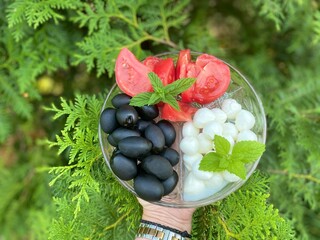 Portrait of large black olives lying on a glass plate next to red tomatoes and white mozzarella balls decorated with green mint leaves. The plate is held by a hand against the background of thuja bran