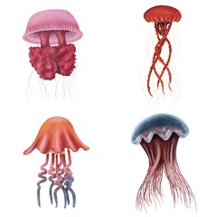 Set of different red jellyfishes isolated on a white background. Stickerpack. Hand draw