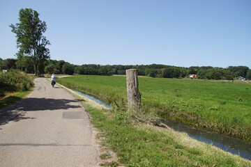 Pasture landscape. Small road, cyclist, meadows, ditch, tree and tree stump, dunes in the distance...