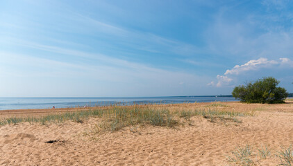 Sandy seashore with a small grove flooded with bright summer sun. Streak of sea and blue sky with beautiful white clouds