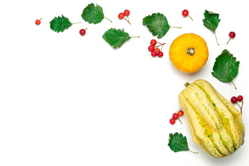 Autumn flat lay. Natural food, harvest with orange pumpkin, fall dried leaves, rowan berries isolated on white background. Autumn, fall, thanksgiving day concept.