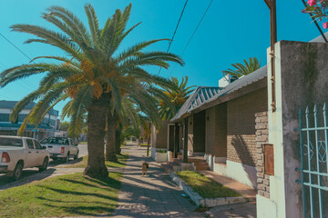 calles y veredas de la ciudad de Castelli - Chaco - Argentina