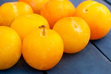 Yellow Japanese Plums (Prunus Salicina) var. 