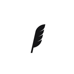 Bird feathers for logo company