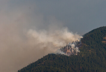 Forest fire on mountain in Kootenal National Forest Montana