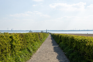 Lighthouse Ahead!