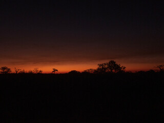 sunset in the desert