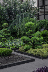 exterior plants design with evergreen flora