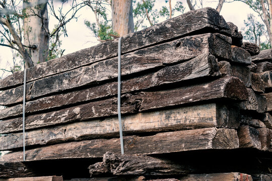 Old Quebracho (Schinopsis balansae) railroad ties in a sawmill