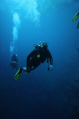 scuba diver and divers