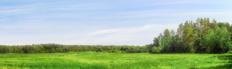 Schilderijen op glas Veld en bos aan de horizon extra groot panoramisch landschap © eshma