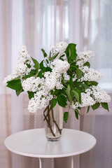 Beautiful white flower bouquet in vase near window at sunrise time