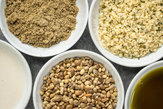 collection of hemp seed products: hearts, protein powder, milk and oil in small white bowls, superfood concept