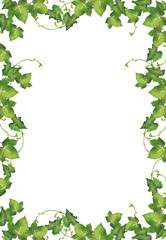 水彩のアイビーのフレーム