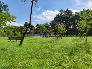 京都 初夏の京都御苑