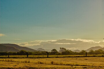 Campo de Fazenda