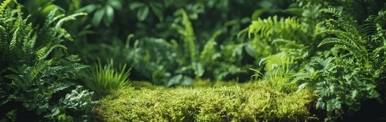 Deurstickers Groene varenbladtextuur, natuurachtergrond, tropisch blad © Li Ding