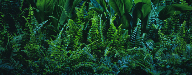 Green fern leaf texture, nature background, tropical leaf