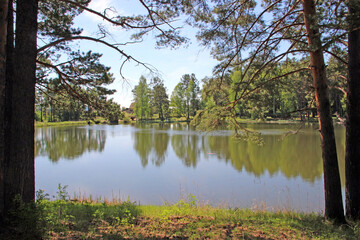 View of the lake surface through the branches of trees between their trunks. Spring landscape.