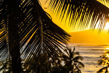 A palm tree silhouette against the ocean and the sun setting behind a mountain in Hawaii