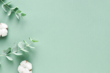 The banner is a branch of eucalyptus and cotton. Background with plants. Minimalism. Eco-cosmetics....