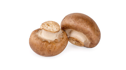 Fresh chestnut mushroom on white background