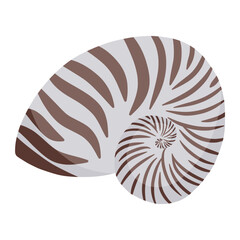 conch in summer color illustration