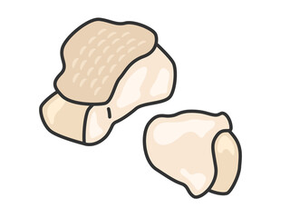 生の鶏肉のイラスト