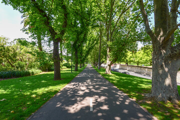 Albert Gardens Melbourne