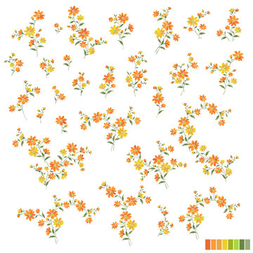 Beautiful flower illustration material collection,