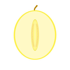 Honeydew melon in half illustration icon vector, fruit illustration