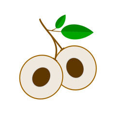 rambutan in half illustration icon vector, fruit illustration
