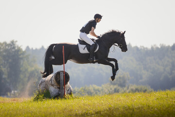 portrait of horse jumping (eventing competition)