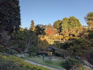 Huntington Garden in Los Angeles