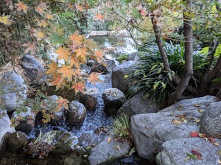 Huntington Garden in Los Angeles