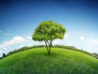 Fototapeta na wymiar Small planet earth in environmental conservation or eco friendly concept. Alone single tree on green grass lawn garden with forest and starry blue sky background.