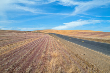 Fototapeta na wymiar A road runs along plowed hay fields, southeastern Washington, USA