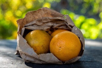 Orange in paper bag in the park