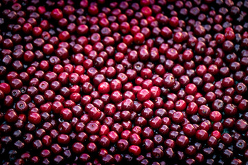 Fresh red berries cherry or sweet cherry, texture.