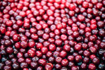 Fresh red berries cherry or sweet cherry, texture.