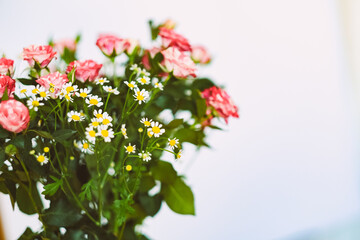 Flowers on a white background. Roses and daisies in a vase. Background for a postcard.