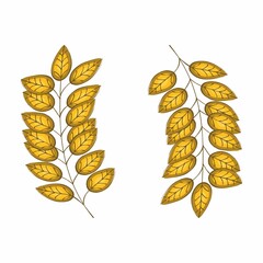 Vector autumn illustration. Autumn leaves. Autumn background. Template for greeting cards, corporate identity, packaging, textiles and other uses.