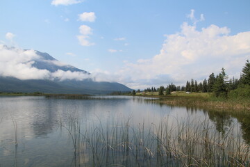 July On Talbot Lake, Jasper National Park, Alberta