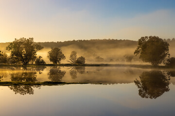 Fototapeta na wymiar Early misty sunrise with reflecting trees in lake after heavy rain in the Chittering Valley, Western Australia